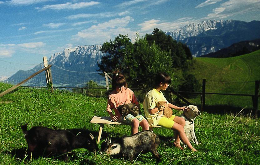 Berggasthof Bichlersee Oberaudorf Kültér fotó
