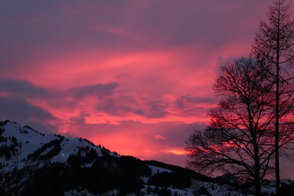 Berggasthof Bichlersee Oberaudorf Kültér fotó